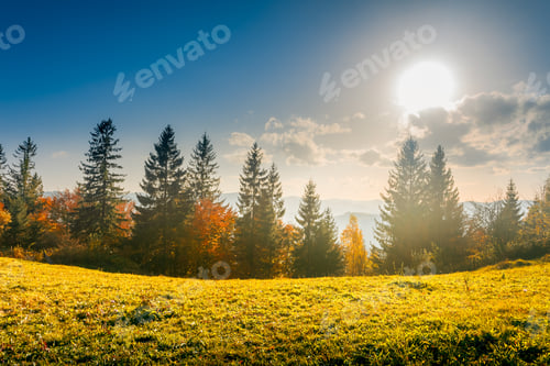 Preview: Colorful autumn landscape