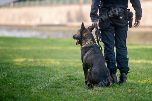 Preview: Police patrol with dog