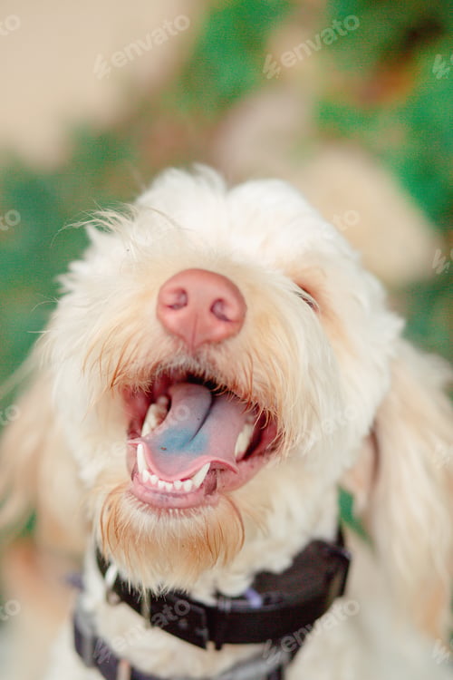 Preview: Happy girl