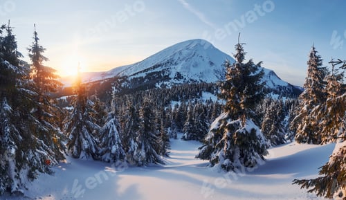 Preview: Majestic Petros mountain illuminated by sunlight. Magical winter landscape with snow