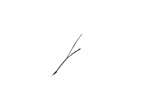 Preview: Branch isolated on a white background