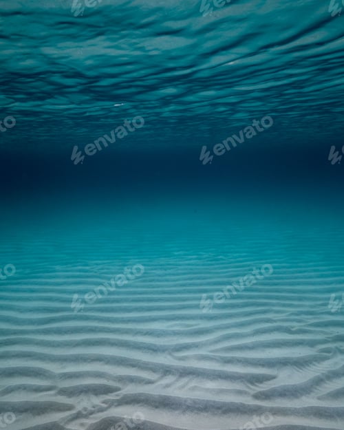 Preview: Vertical shot of an idyllic underwater landscape