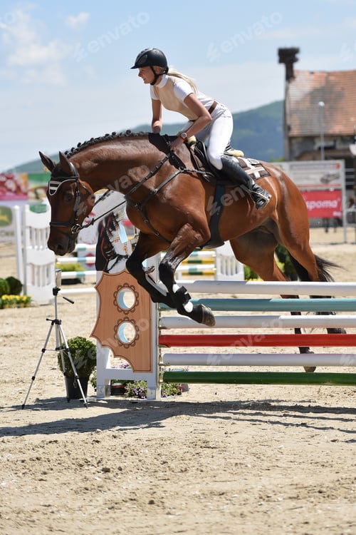 Preview: Show Jumping