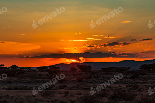 Preview: Kalokol Lodwar Town Turkana Landscapes Field Kenya East Africa