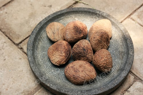 Preview: Blacknut or Pangium edule Kluwak Kepayang Pucung