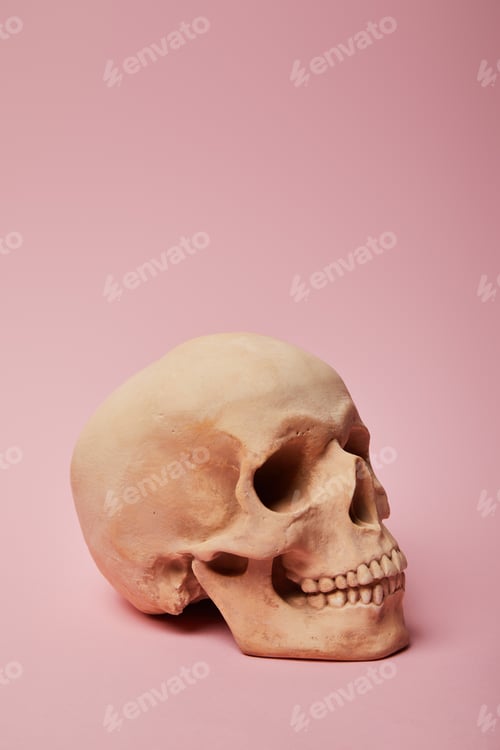 Preview: spooky human skull on pink background, Halloween decoration