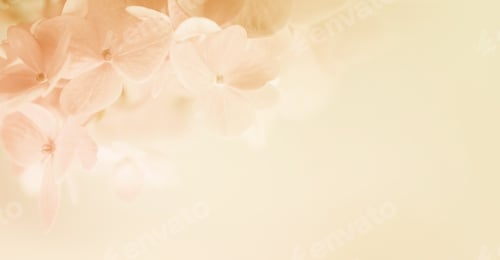 Preview: Blurred Floral Background with Soft Peach Hues