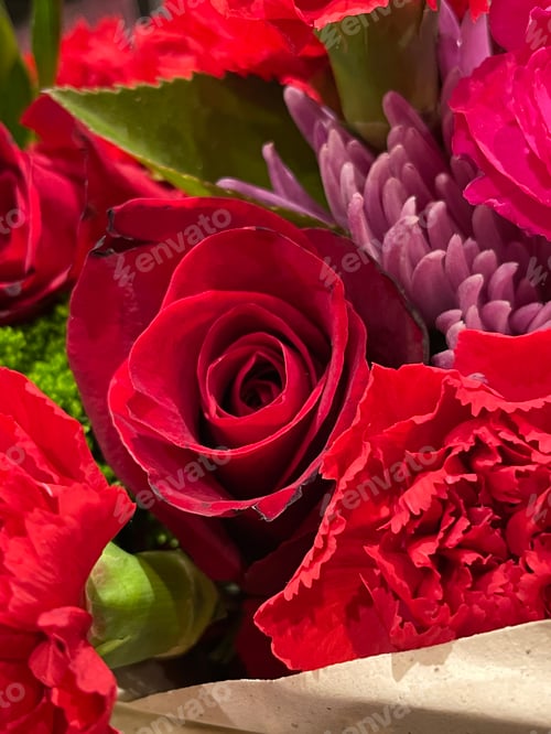 Preview: Red roses
