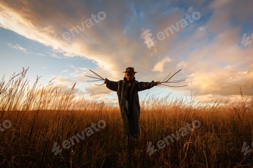 Preview: Scary scarecrow in a hat