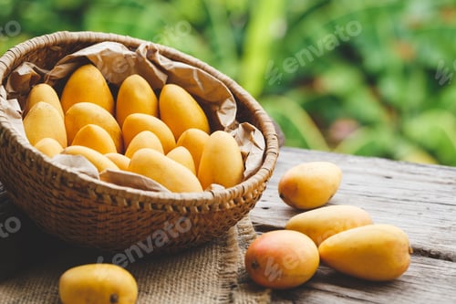 Preview: Ripe mangoes in a basket