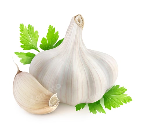 Preview: Isolated garlic