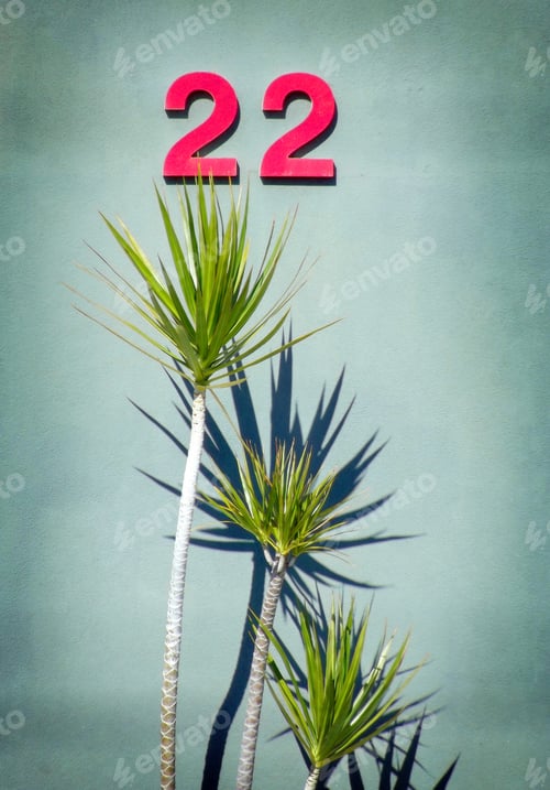 Preview: Number 22 out on the street