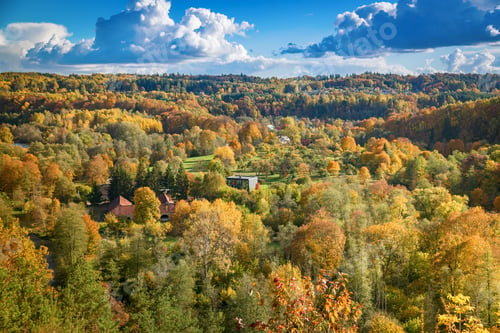 Preview: A picturesque autumn scene at Pavilniai Regional Park in Vilnius, Lithuania