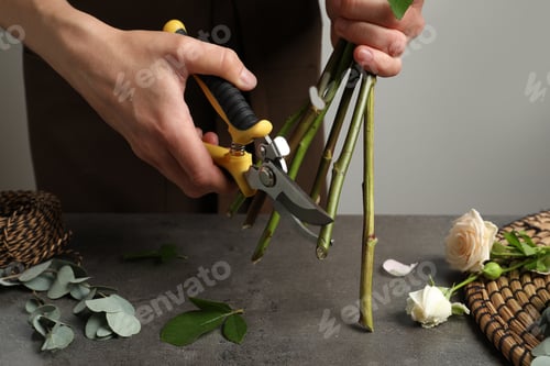 Preview: Florist cutting flower stems with pruner at workplace, closeup