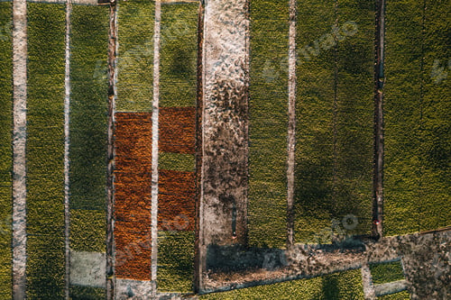 Preview: Aerial Drone Photo of Seaweed Farms in Nusa Lembongan Ceningan Bali Indonesia