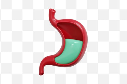 Preview: Stomach Anatomy 3D Icon