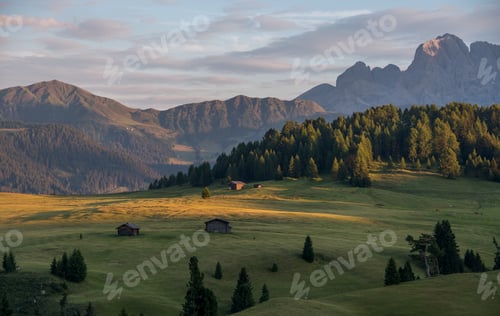 Preview: Alpe di Siusi meadows at sunset in the summer
