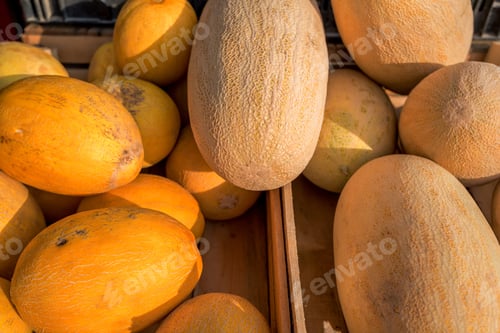 Preview: Ripe yellow melons