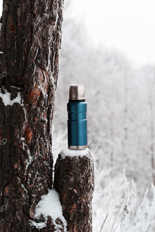 Preview: Camping vacuum flask and winter wood. Thermos standing on a stump. Hot drink in cold weather concept