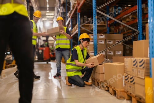 Preview: Warehouse workers managing inventory and logistics
