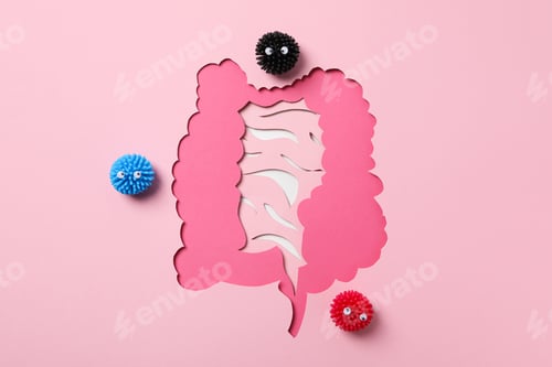 Preview: Concept of health care, stomach and intestinal problems