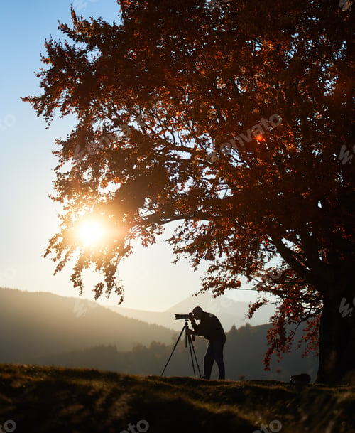 Preview: Hiker tourist man with camera on grassy valley on background of mountain landscape under big tree.