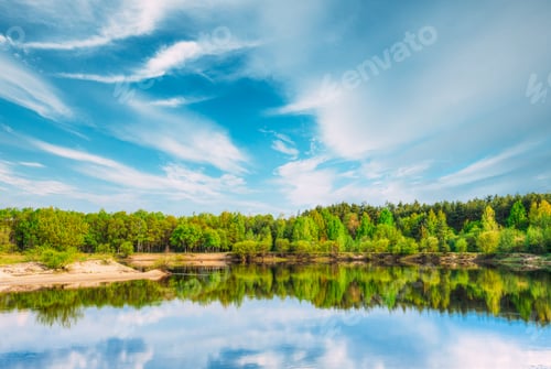 Preview: Summer Forest On River Coas. River Water Nature Landscape. Belarus, Europe