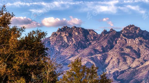 Preview: View of Mount Lemmon with lush greenery in the foreground. Arizona, USA.