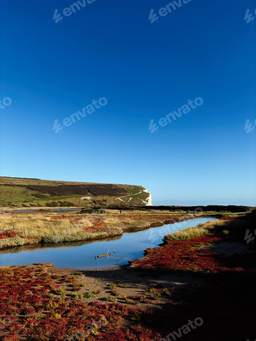 Preview: Blue sky over Seven Sisters Cliffs coast in East Sussex with calm stream and wildflowers
