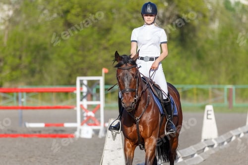 Preview: Young rider woman riding horse warming up before showjumping competition