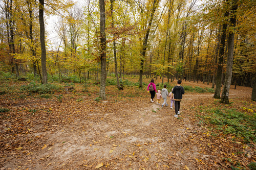 Preview: Mother with kids on a walk in autumn forest.