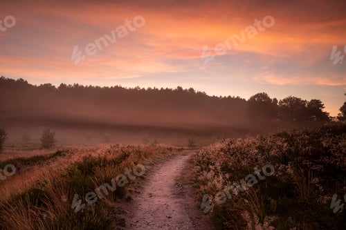 Preview: path between hills at red dawn