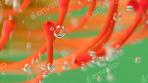Preview: Close-up of beautiful flower with bubbles under water. Stock footage. Bright flower with stamens