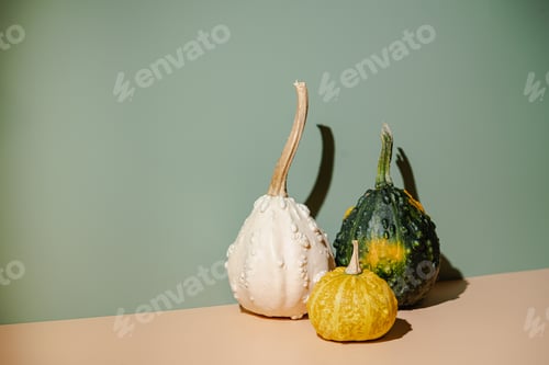 Preview: Decorative pumpkins on light orange
