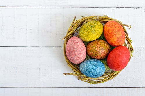 Preview: Colorful painted eggs in a nest of twigs of willow on a light background