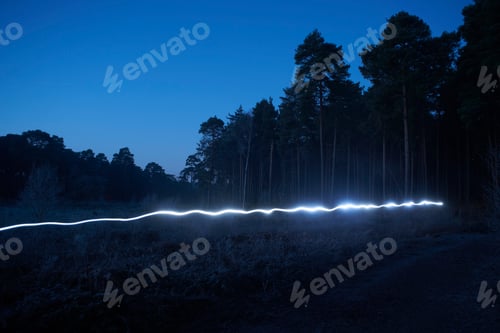 Preview: Light trail in forest, at night