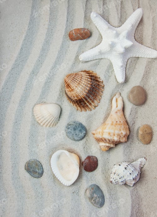 Preview: Summer background