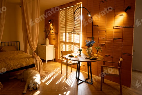 Preview: Sunny and cozy studio apartment