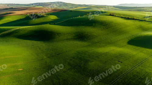 Preview: lush farmland and rolling hills in czech countryside captured by drone