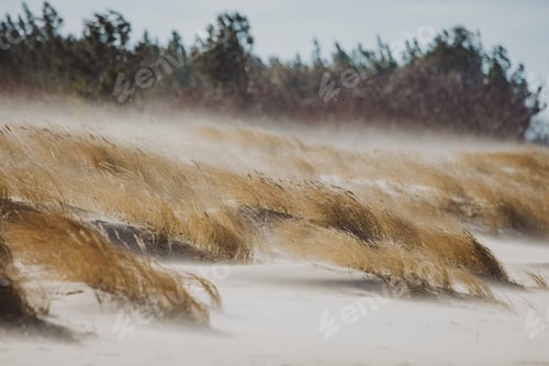 Preview: Storm wind blowing sand in the beach