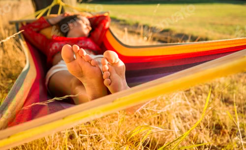 Preview: Woman Relaxing in a Hammock in a Field