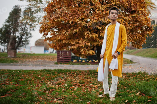 Preview: In indian traditional clothes
