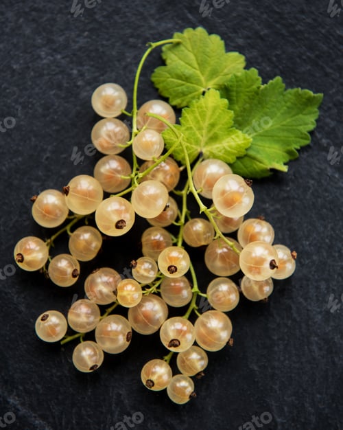 Fresh White Currants with Green Leaves on Slate