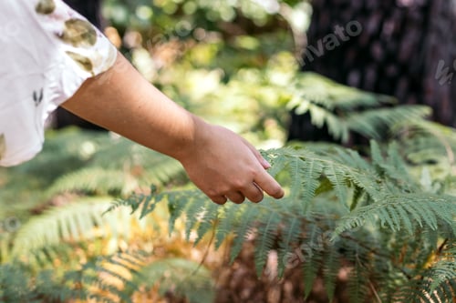 Preview: Young woman touching leaves in the forest