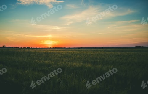 Preview: nature