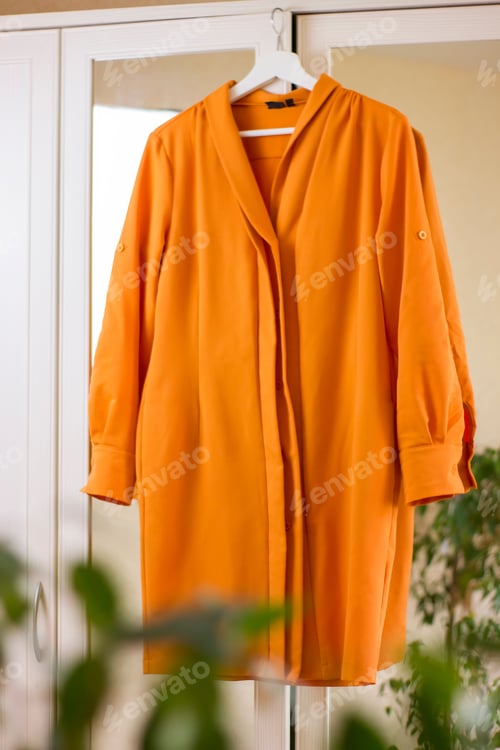 Preview: An orange dress hanging on a hanger on a closet door with a mirror.