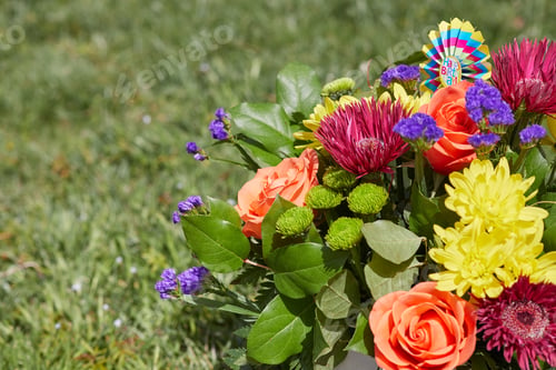 Preview: Beautiful fresh colorful flowers at the Garden