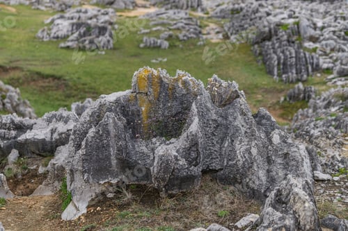 Preview: Rock Detail on Asturias Coast, Spain