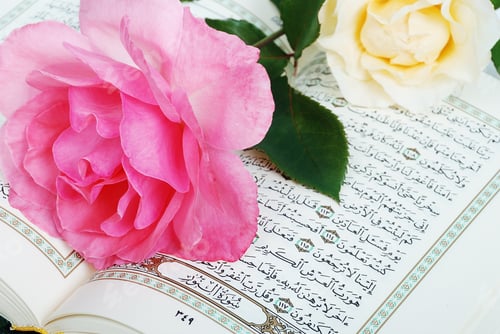 Preview: Rose/Flower Put On Holy Islam Book Koran