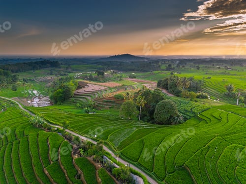 Preview: Wonderful sunrise scenery indonesia nature mountain valley forest with bright sky